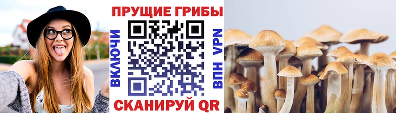 Псилоцибиновые грибы ЛСД  Купить  Борисоглебск 